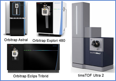 蛋白质鉴定以及定量蛋白质组学