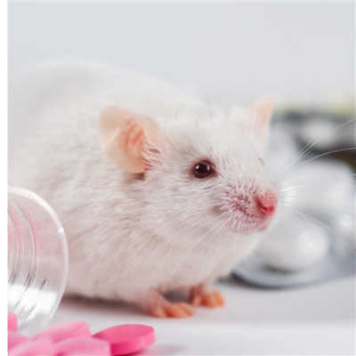 烫伤感染模型构建