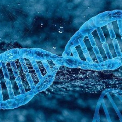 CRISPR/Cas12a系统实验服务