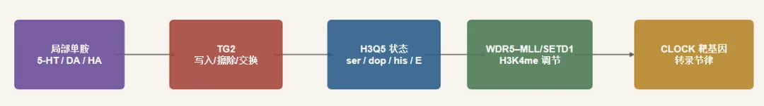 图片18.png